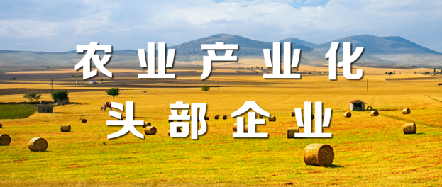 山東三星集團榮登“2021年度農業(yè)產(chǎn)業(yè)化頭部企業(yè)100家”“植物油行業(yè)頭部企業(yè)10家”榜單