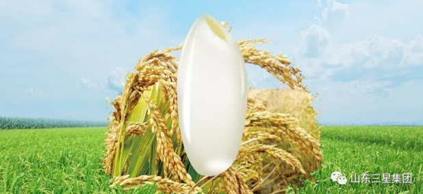 長(cháng)壽花糧食產(chǎn)品：源頭保障 稻道新鮮 “好米”只為好生活