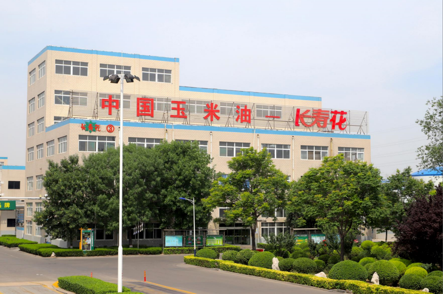 創(chuàng  )效在一線(xiàn)｜長(cháng)壽花食品推進(jìn)技改創(chuàng  )新 賦能新質(zhì)力量
