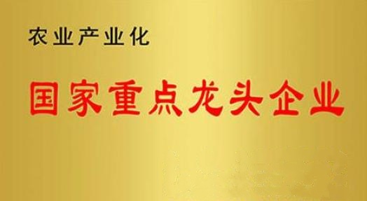 國家重點(diǎn)龍頭企業(yè)！山東三星集團連續上榜