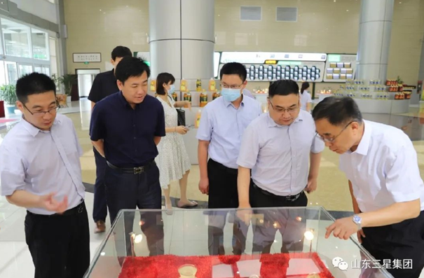 省委“四進(jìn)”工作組來(lái)山東三星集團調研督導