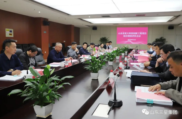 裕航合金山東省重大科技創(chuàng  )新工程項目綜合績(jì)效評價(jià)會(huì )順利召開(kāi)